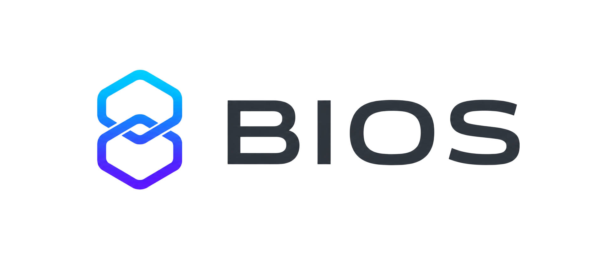 Тёмный логотип BIOS на светлом фоне